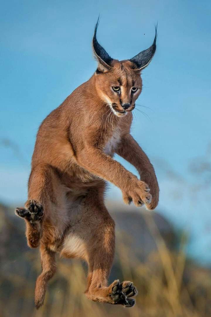 2b5a19ac93e4b7aa048a079c0e2726b9